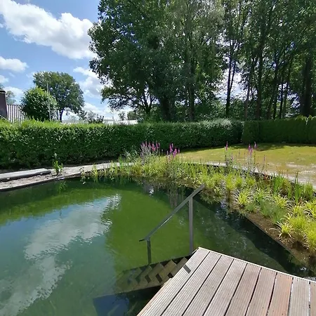 Vakantiehuis Morning Glory, Vogelzang