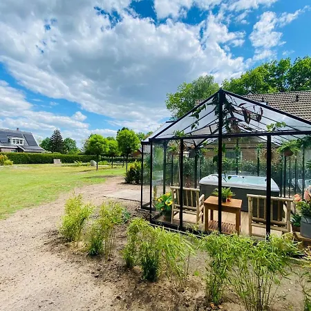 Morning Glory, Vogelzang *