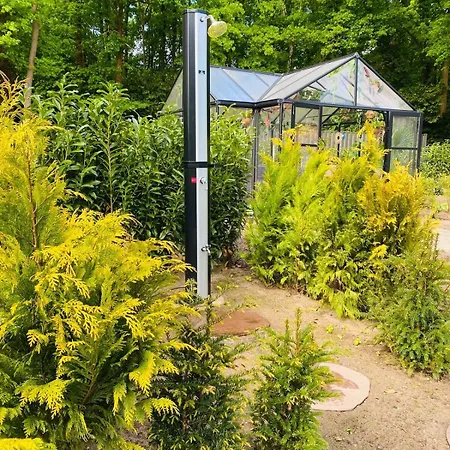 Vakantiehuis Morning Glory, Vogelzang *