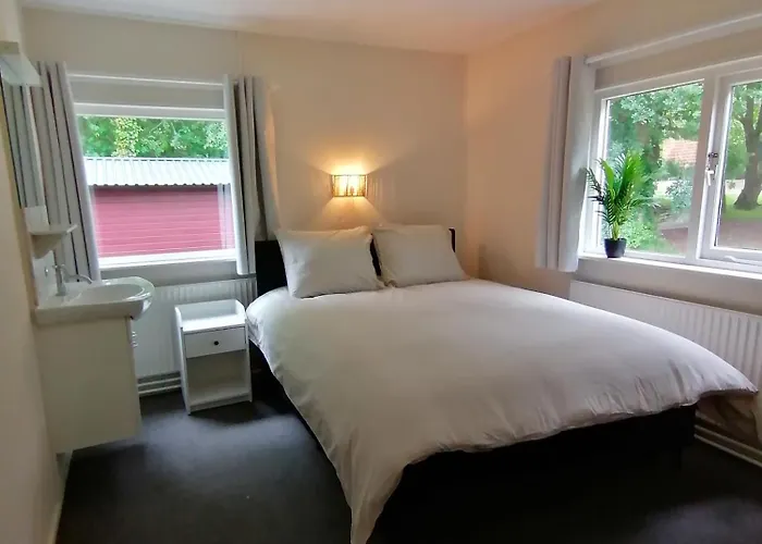 Morning Glory, Vogelzang Semesterbostad Beekbergen