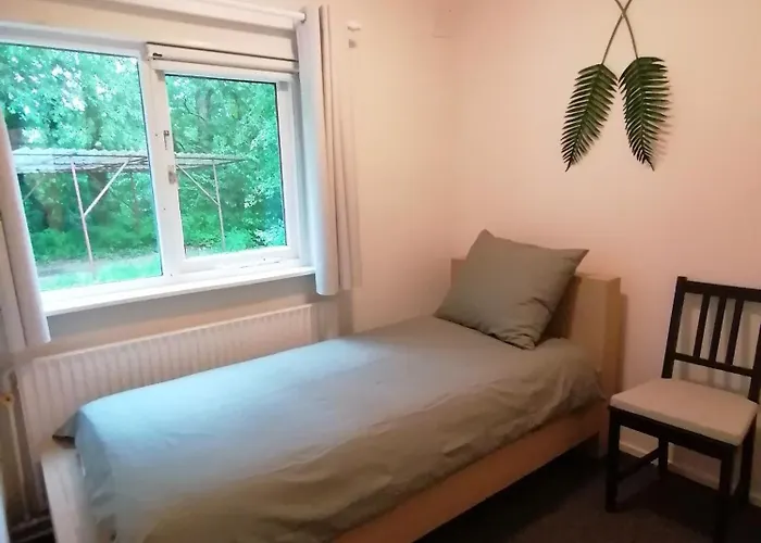 Morning Glory, Vogelzang Semesterbostad