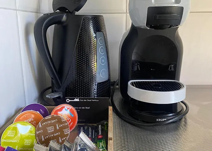 Morning Glory, Vogelzang *