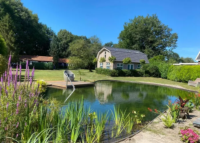 Morning Glory, Vogelzang Semesterbostad *