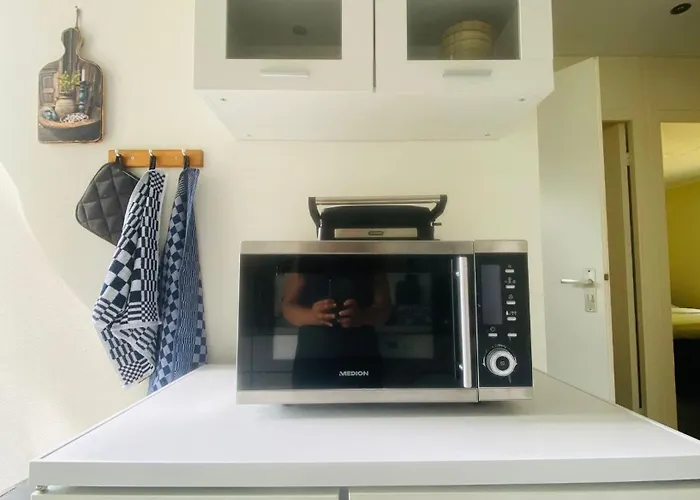 Morning Glory, Vogelzang