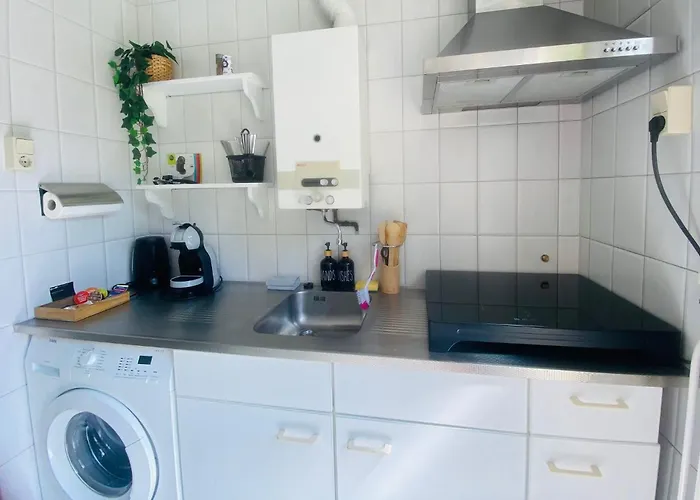 Morning Glory, Vogelzang *