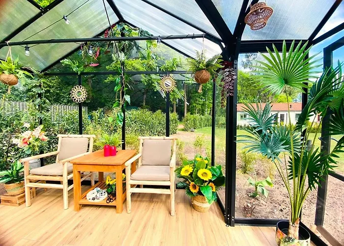 Semesterbostad Morning Glory, Vogelzang