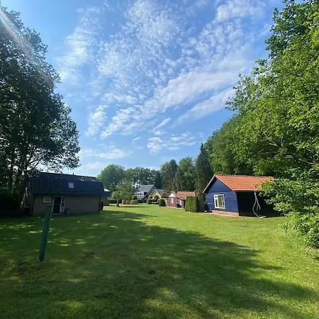Morning Glory, Vogelzang * Beekbergen