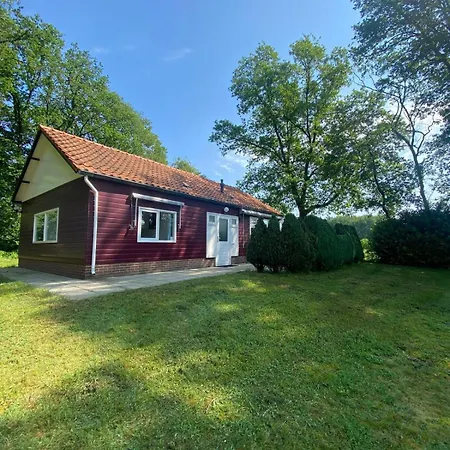 Morning Glory, Vogelzang Beekbergen