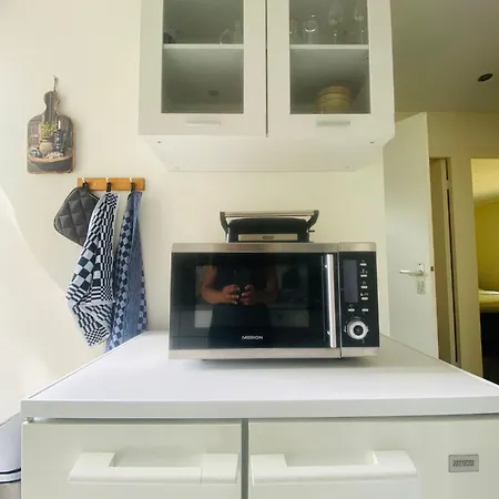 Morning Glory, Vogelzang