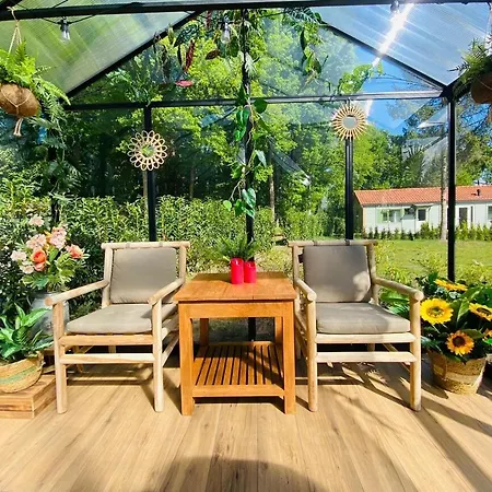 Morning Glory, Vogelzang Nyaraló *