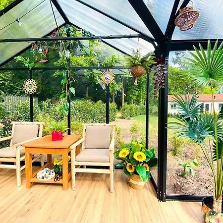 Nyaraló Morning Glory, Vogelzang