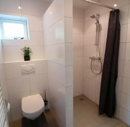 Morning Glory, Vogelzang * Beekbergen