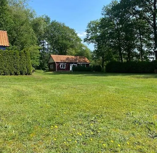 Morning Glory, Vogelzang