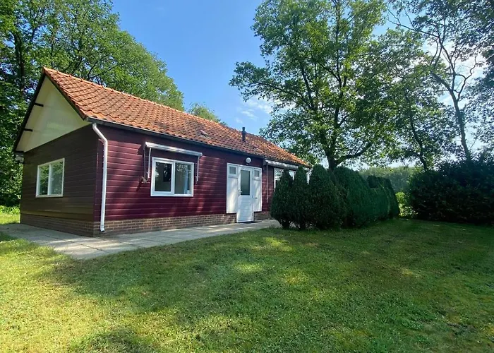 Morning Glory, Vogelzang Beekbergen