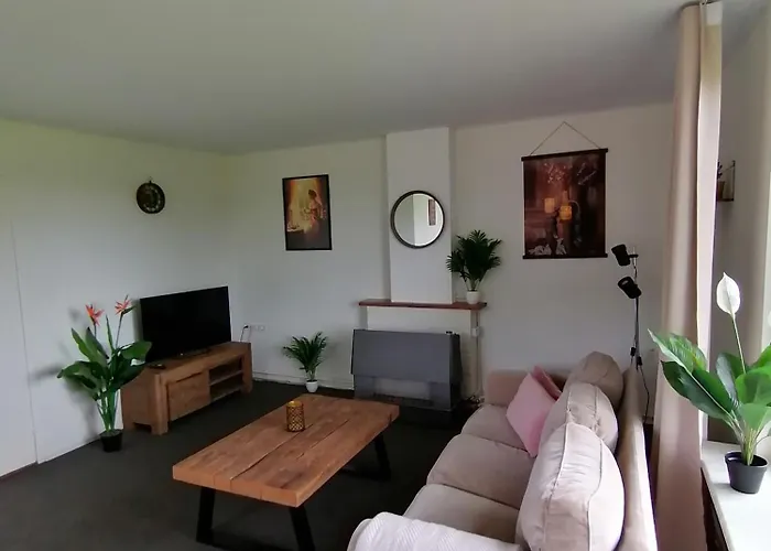 Morning Glory, Vogelzang