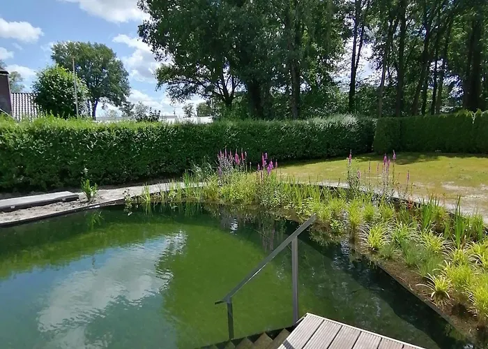 Nyaraló Morning Glory, Vogelzang