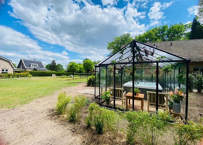 Morning Glory, Vogelzang *