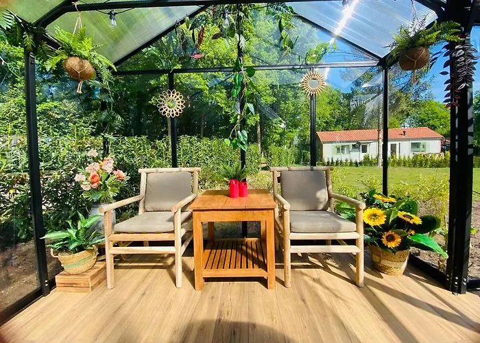 Morning Glory, Vogelzang Nyaraló *